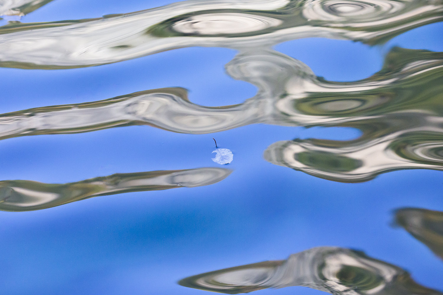 545 60 蓝色纯净的湖面水波荡漾,一片落叶在水面随波逐流 点亮攻略 0