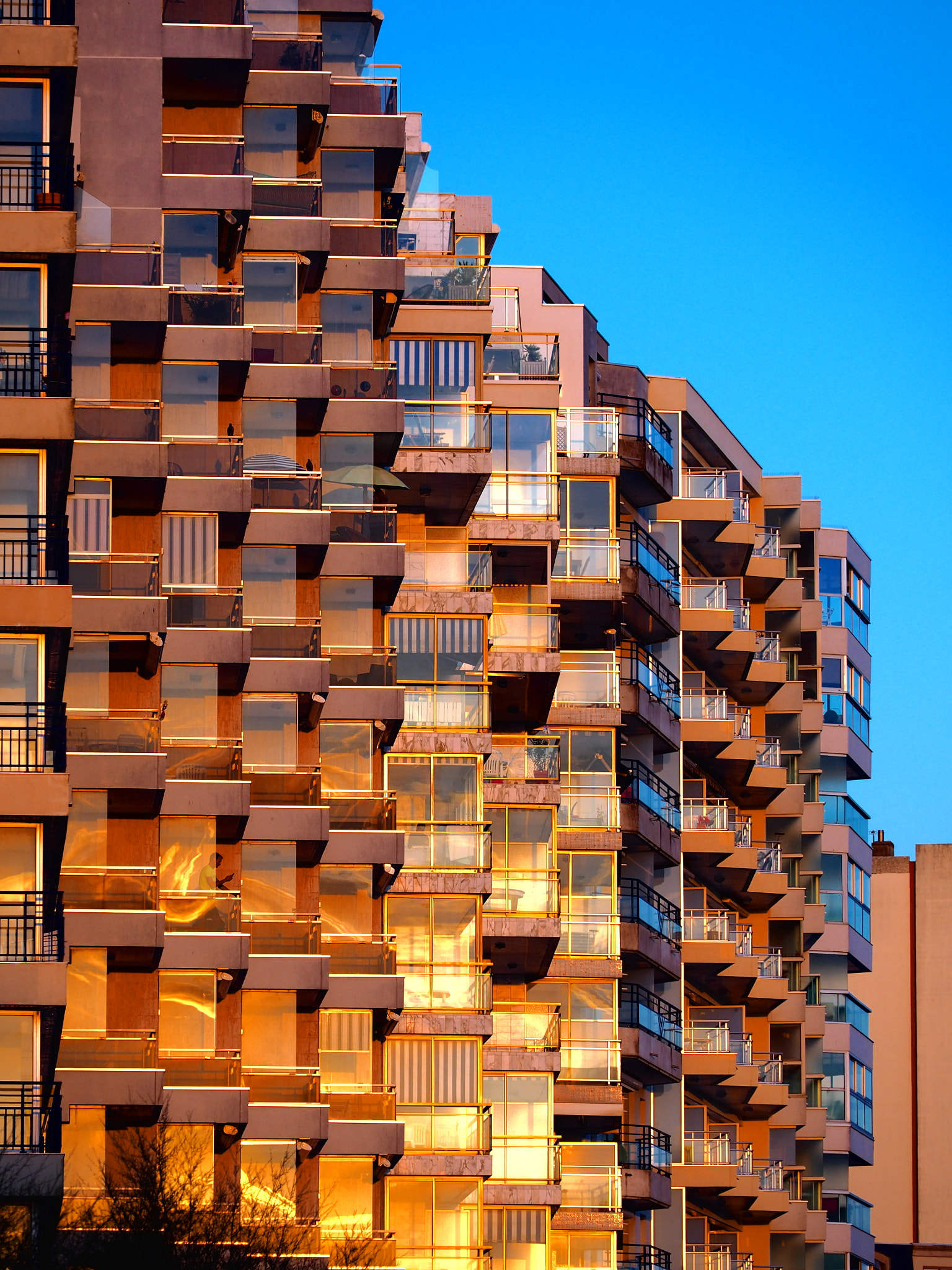 golden sunny building