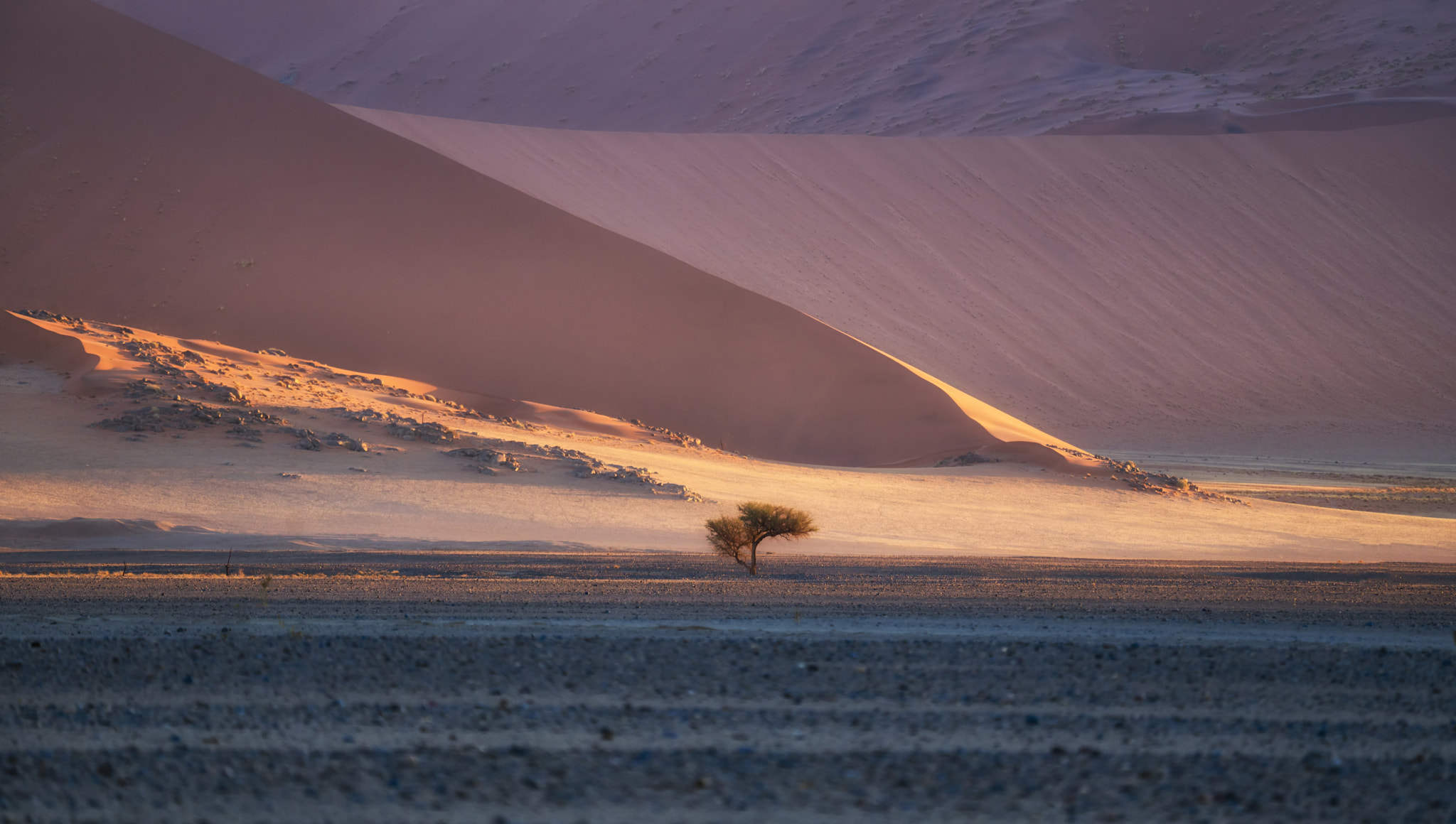 24namib desert摄影作品_未分类摄影图片 - 500px摄影社区