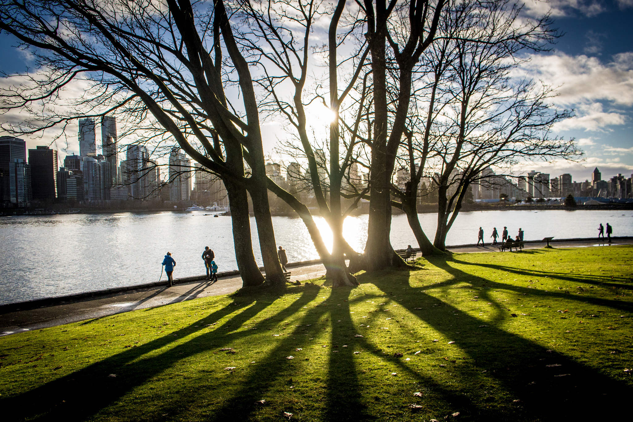 stanley park winter sunshine