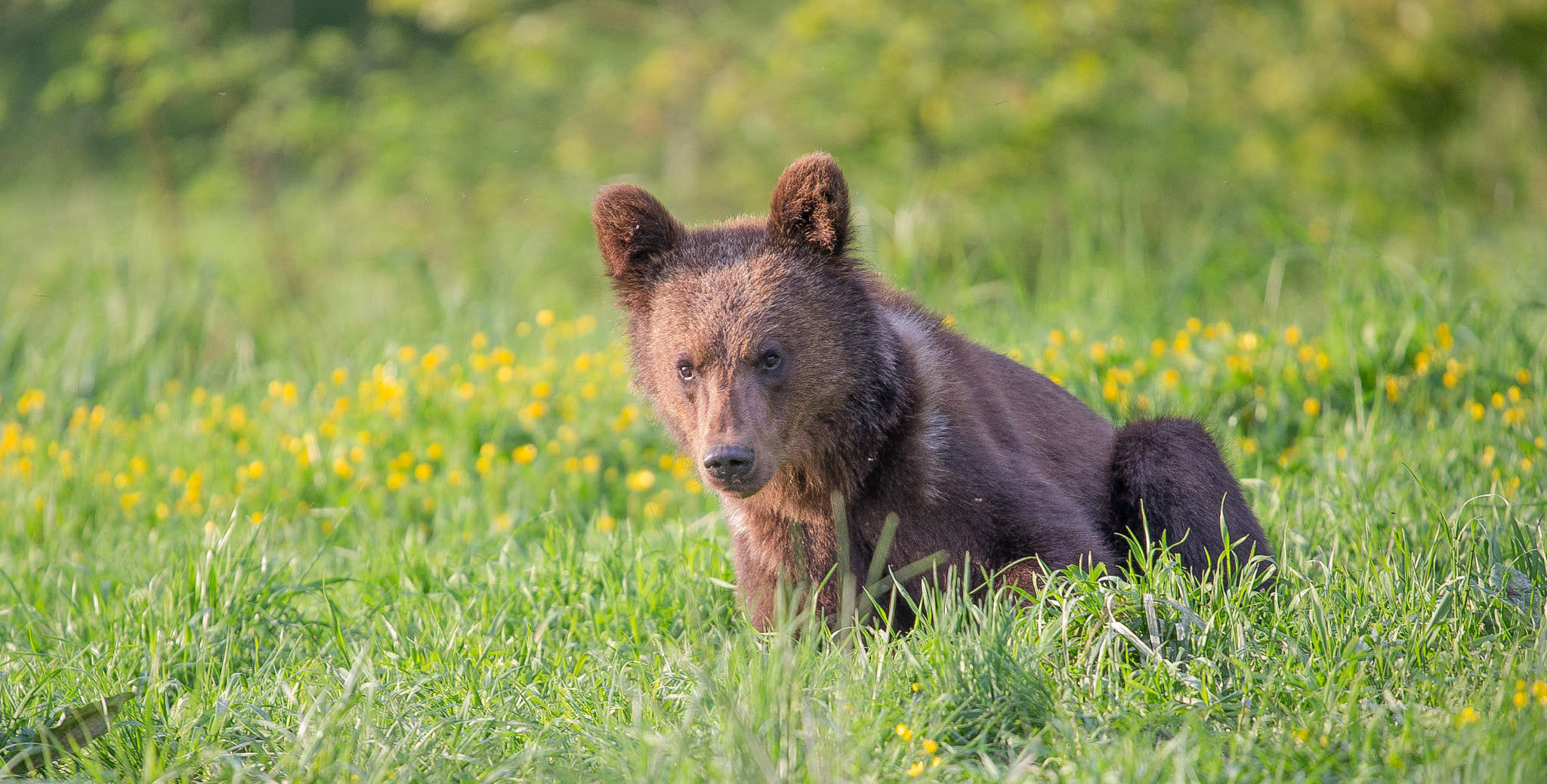 watch-out-500px