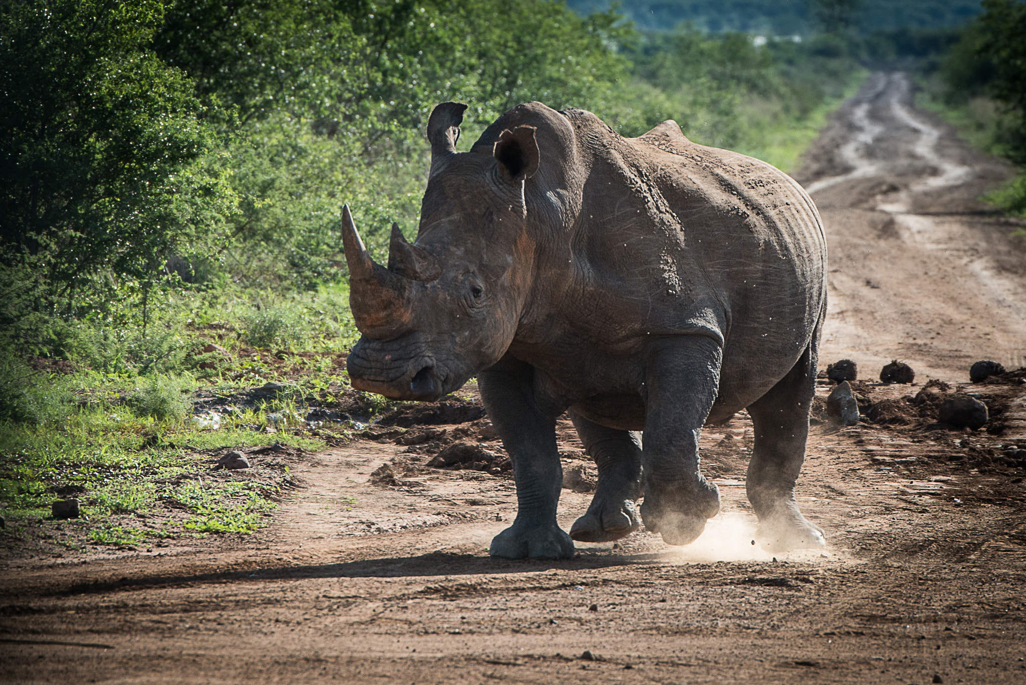 let the light in by casey mccallister on 500px