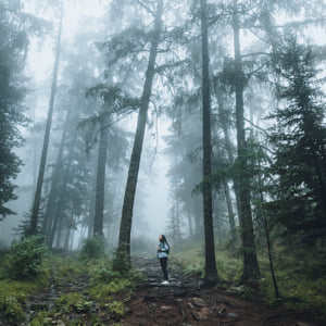 Coziestone cozie 摄影师