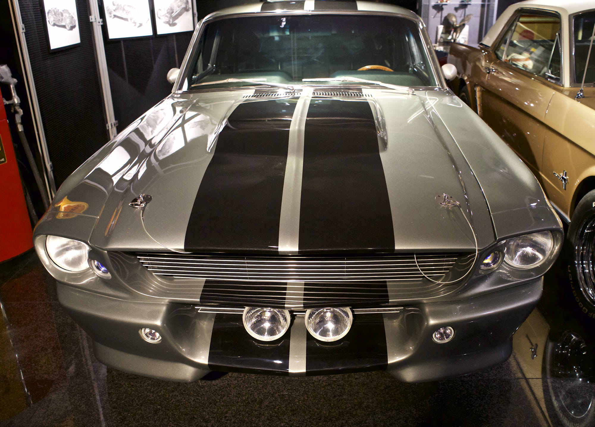 1967 shelby mustang gt500 fastback leanor