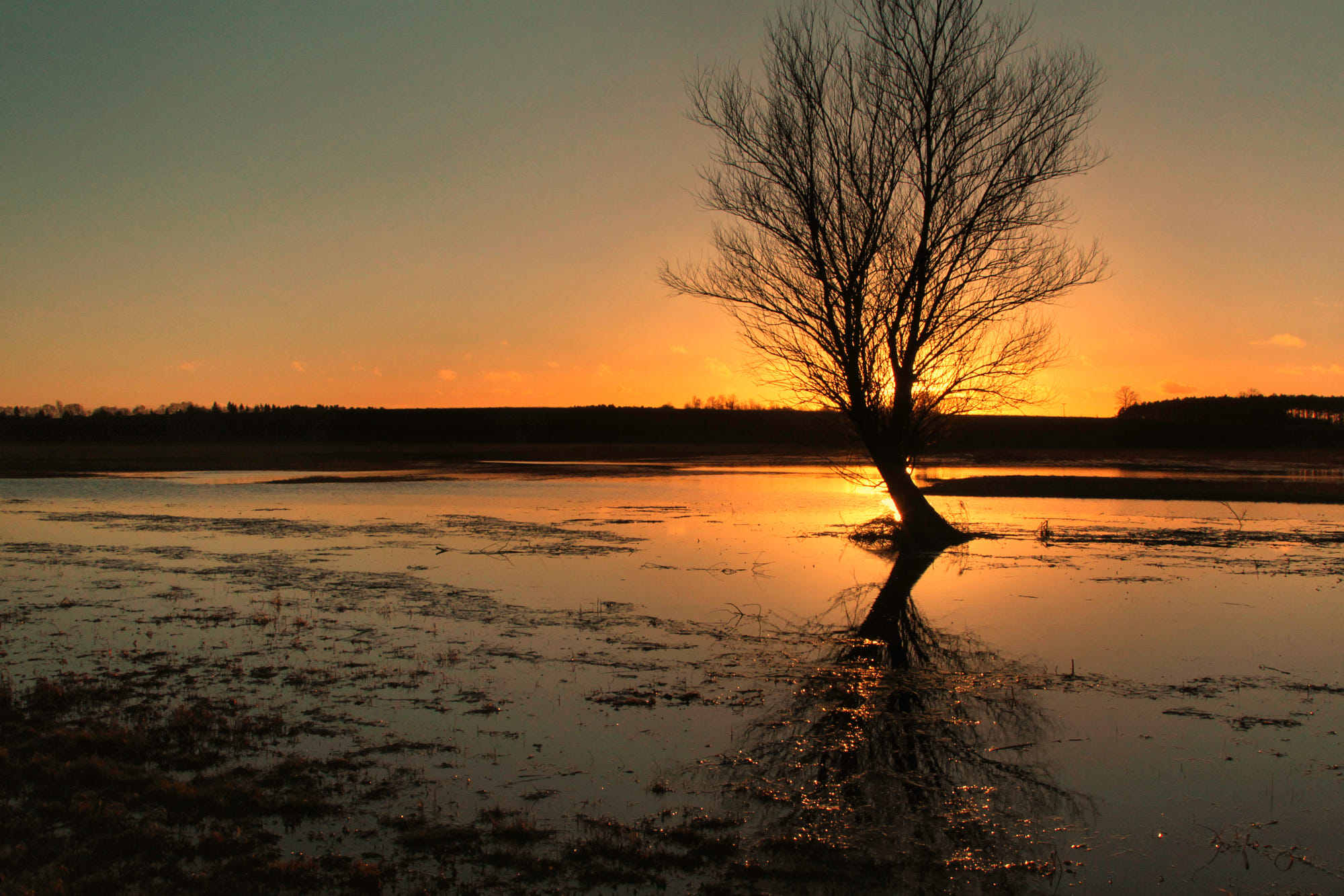 let the light in by casey mccallister on 500px
