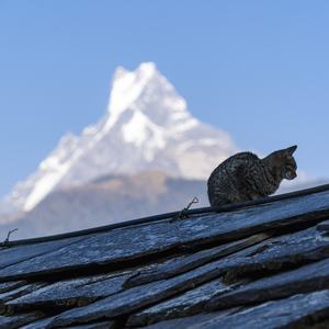 SEEKER丨Wyatt 摄影师