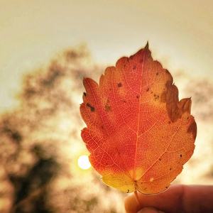 AILSET丨吝色
​ 摄影师