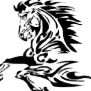 风鸣雨潇 摄影师