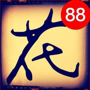 大花龍之介 📷 摄影师