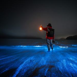 AoWoO嗷呜 摄影师