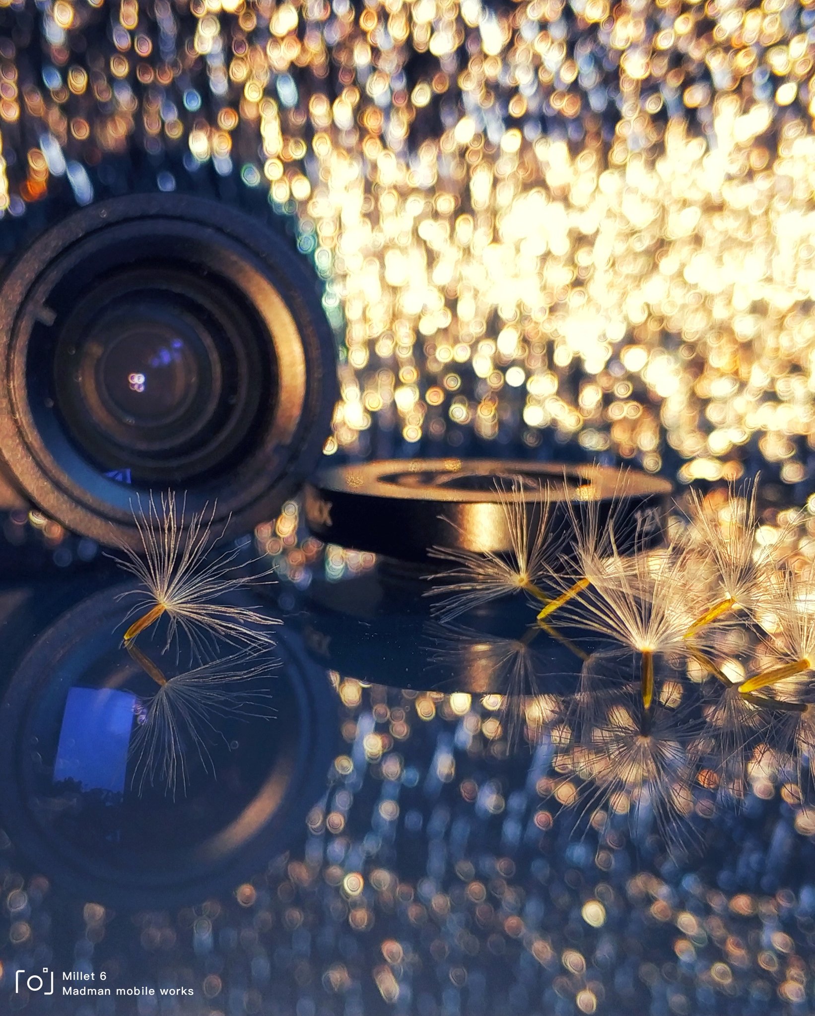 光与影(手机作品) light and shadow (mobile phone works)