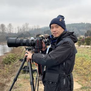 Michael Wang 摄影师