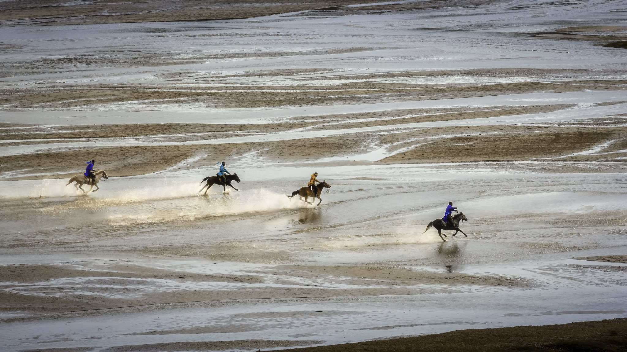 驰骋,牧马人在宽阔的河谷中纵马驰骋