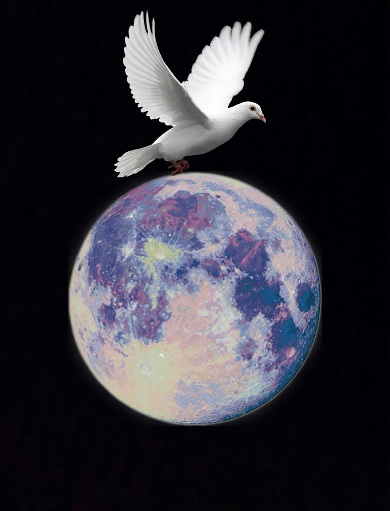 创意摄影:渴望和平腾飞图摄影照片