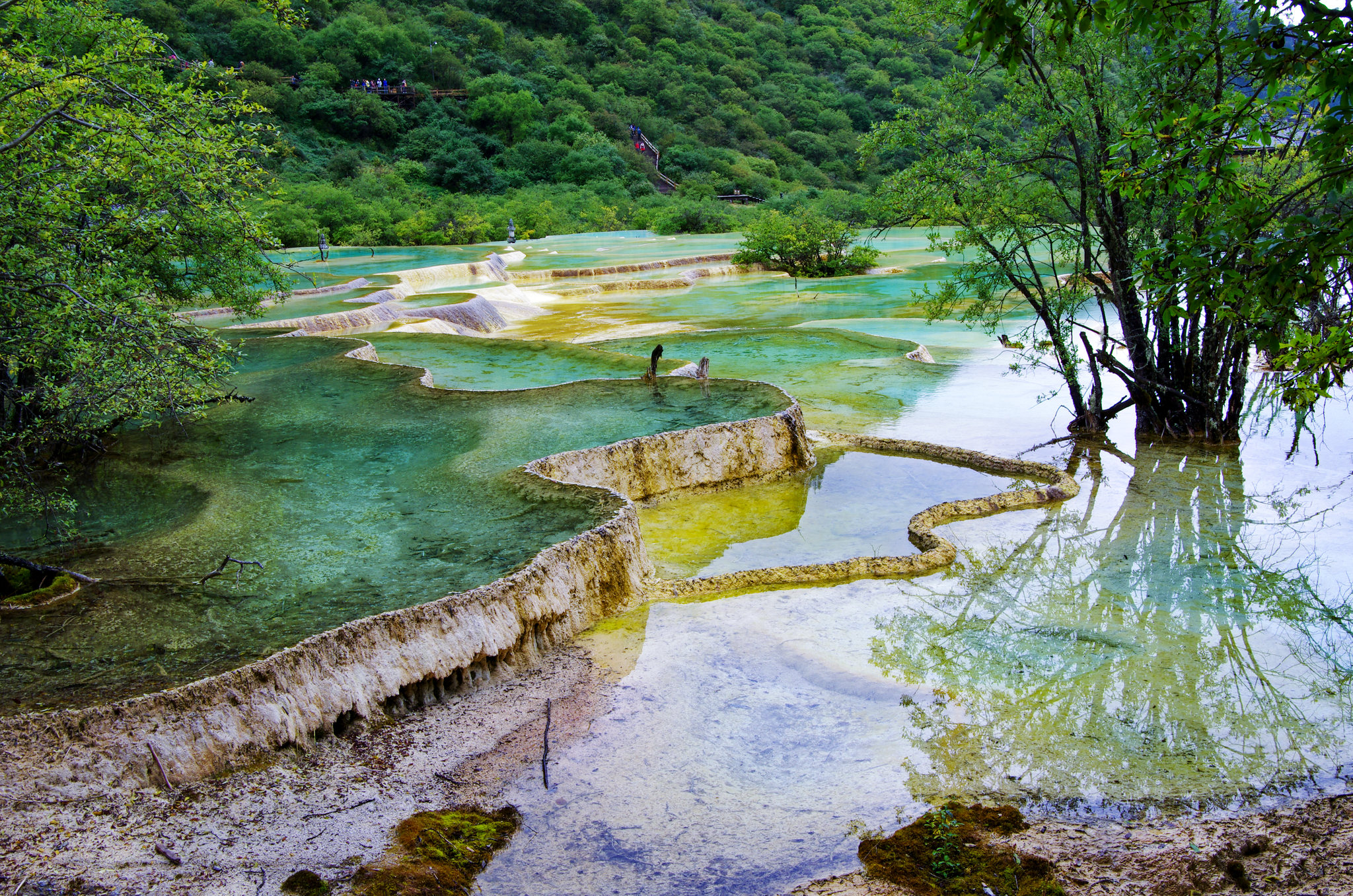 四川九寨沟黄龙五彩池