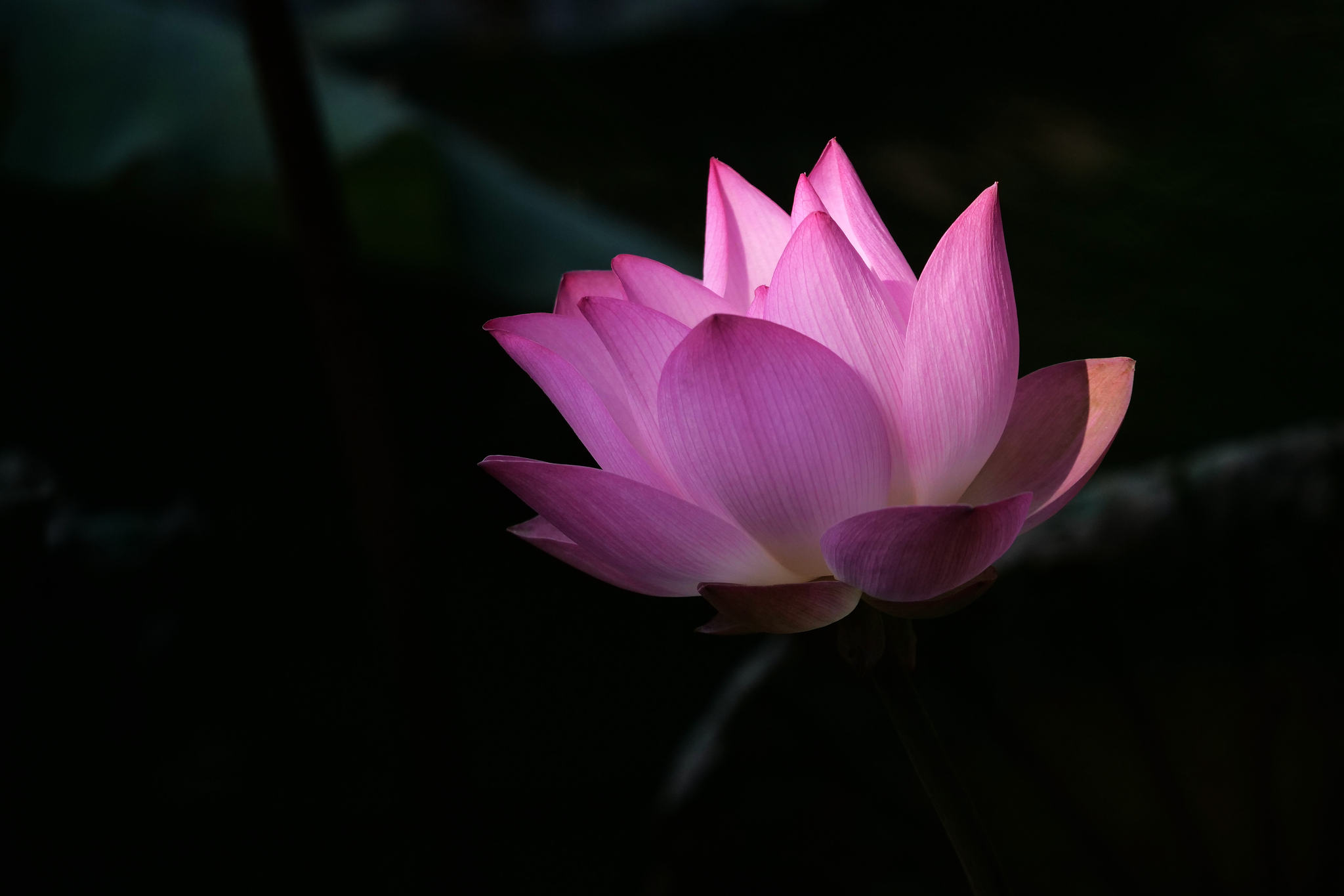 let the light in by casey mccallister on 500px