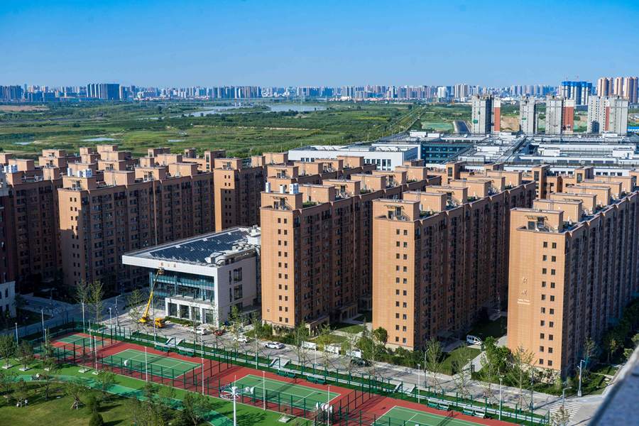 在创新港的一周