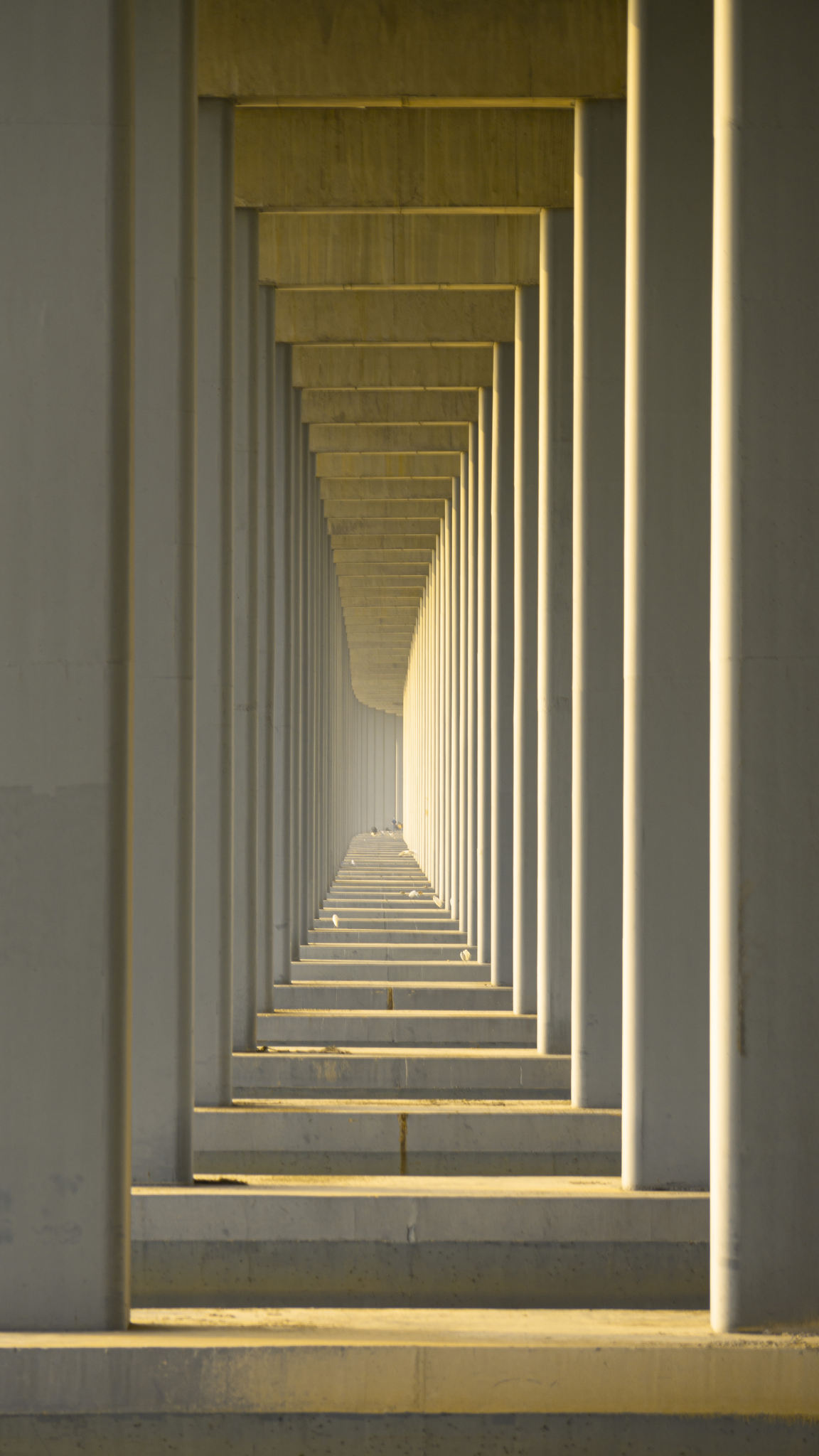 时空长廊 time and space corridor