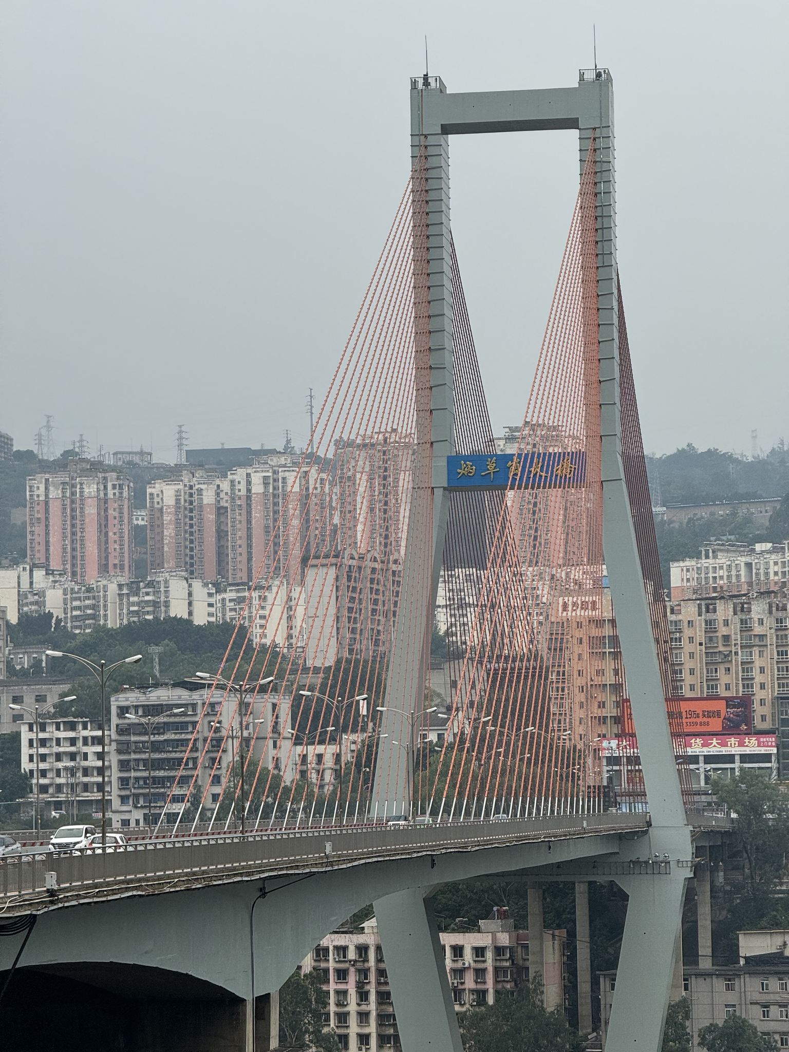 攀枝花炳草岗大桥