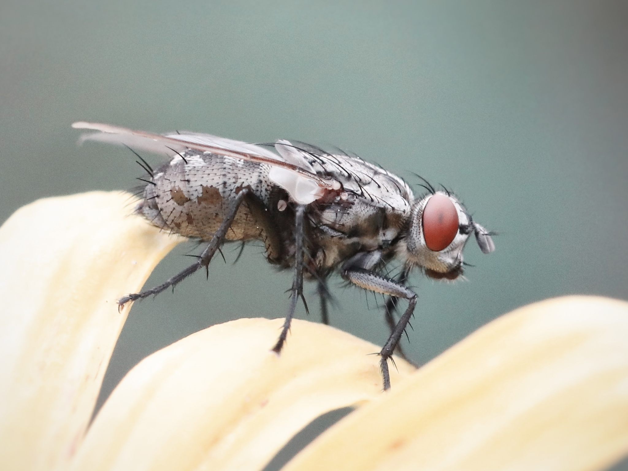 Let the Light In by Casey McCallister on 500px