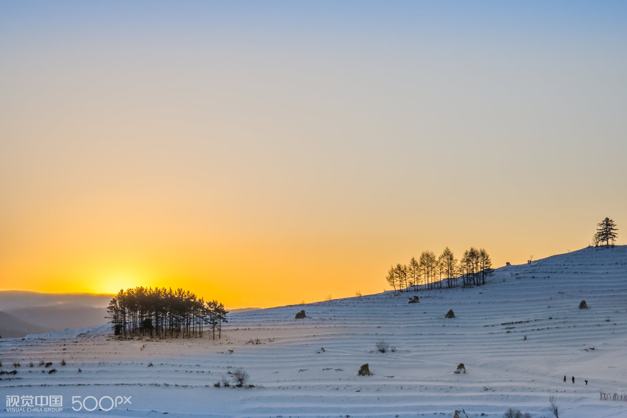 日出,雪地,树林,村庄,雪村