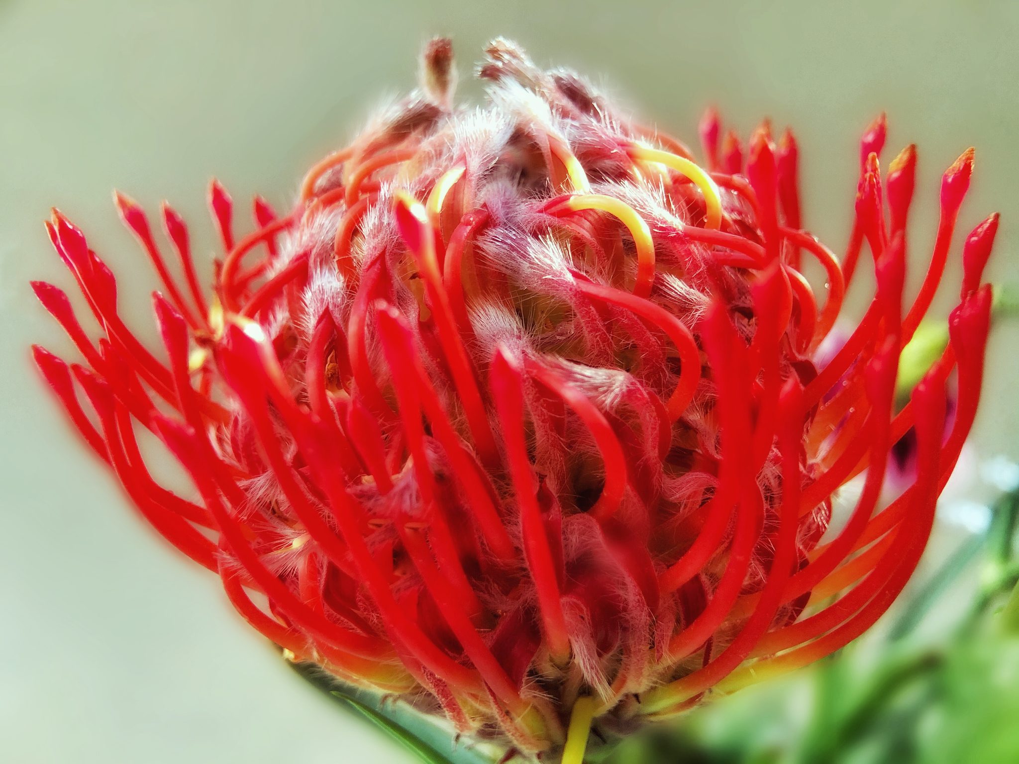 let the light in by casey mccallister on 500px