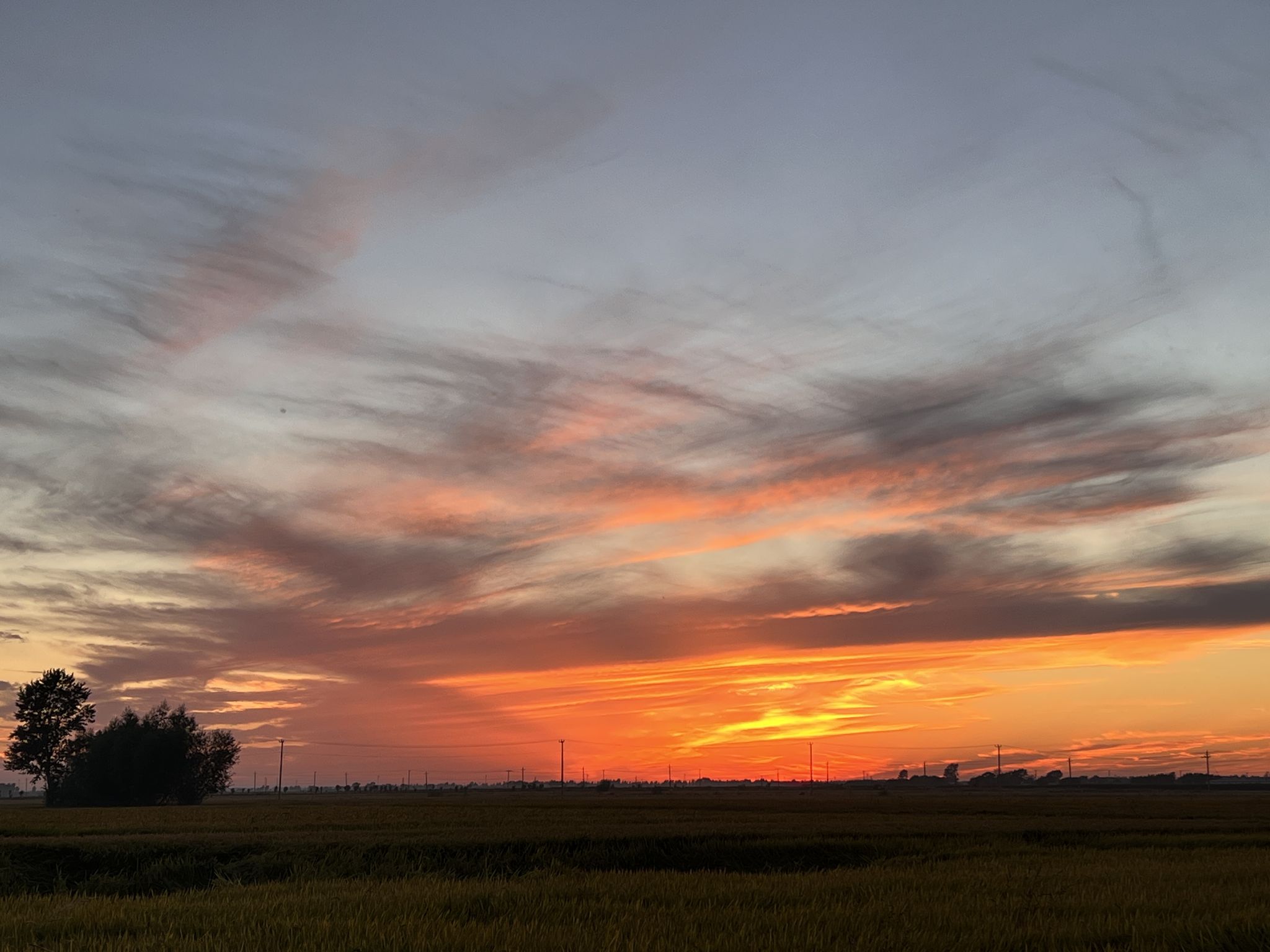 夕阳西下的农田顶天景观