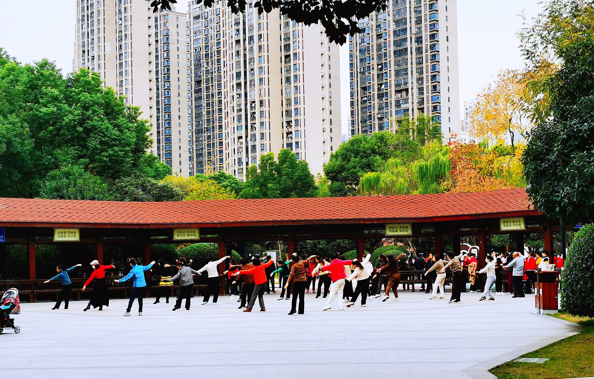 《公园里的舞蹈队》合肥滨湖新区天山公园,人们在尽情地舞蹈,舞出健康