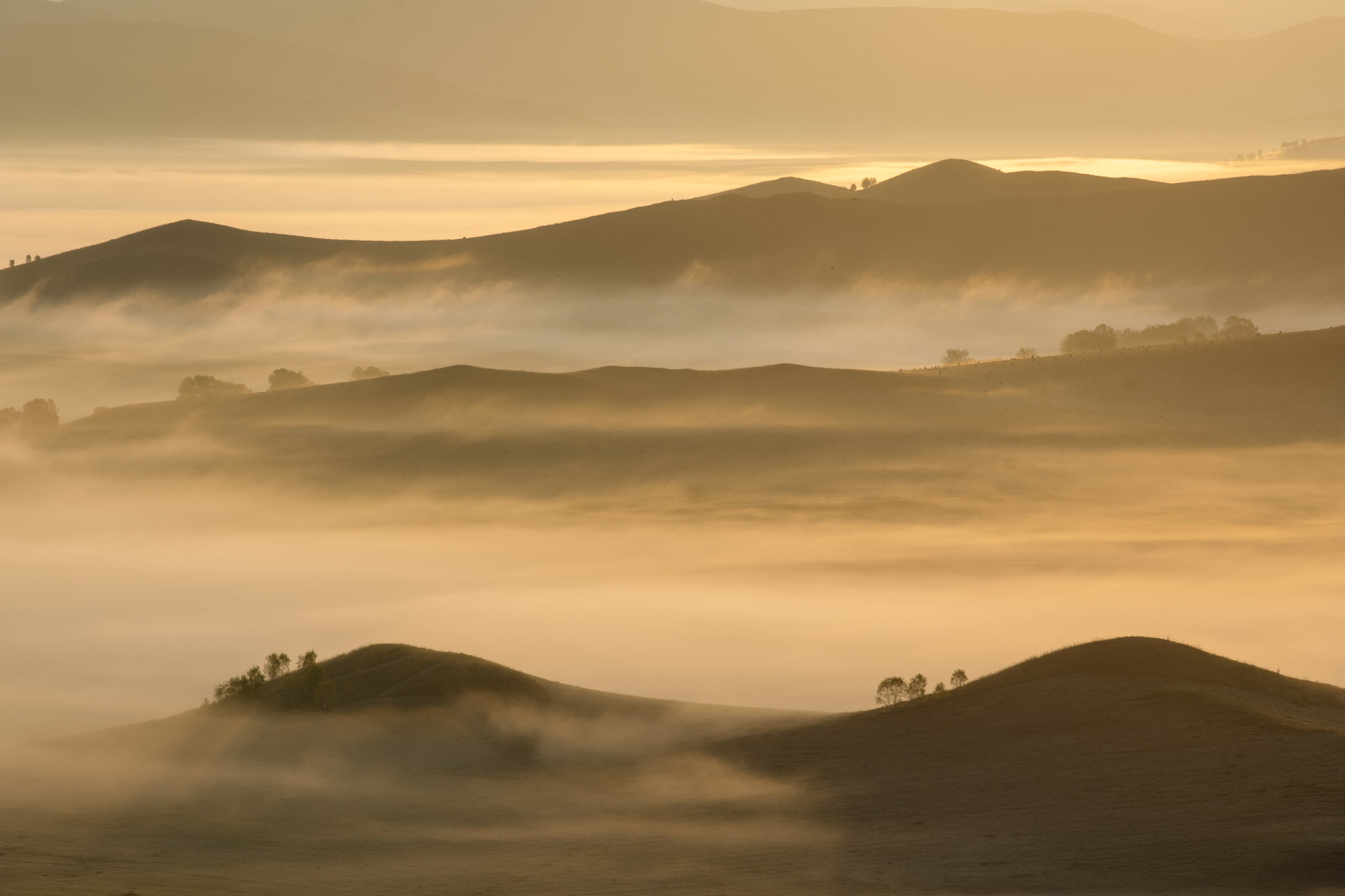 《晨雾茫茫》摄于内蒙古乌兰布统草原