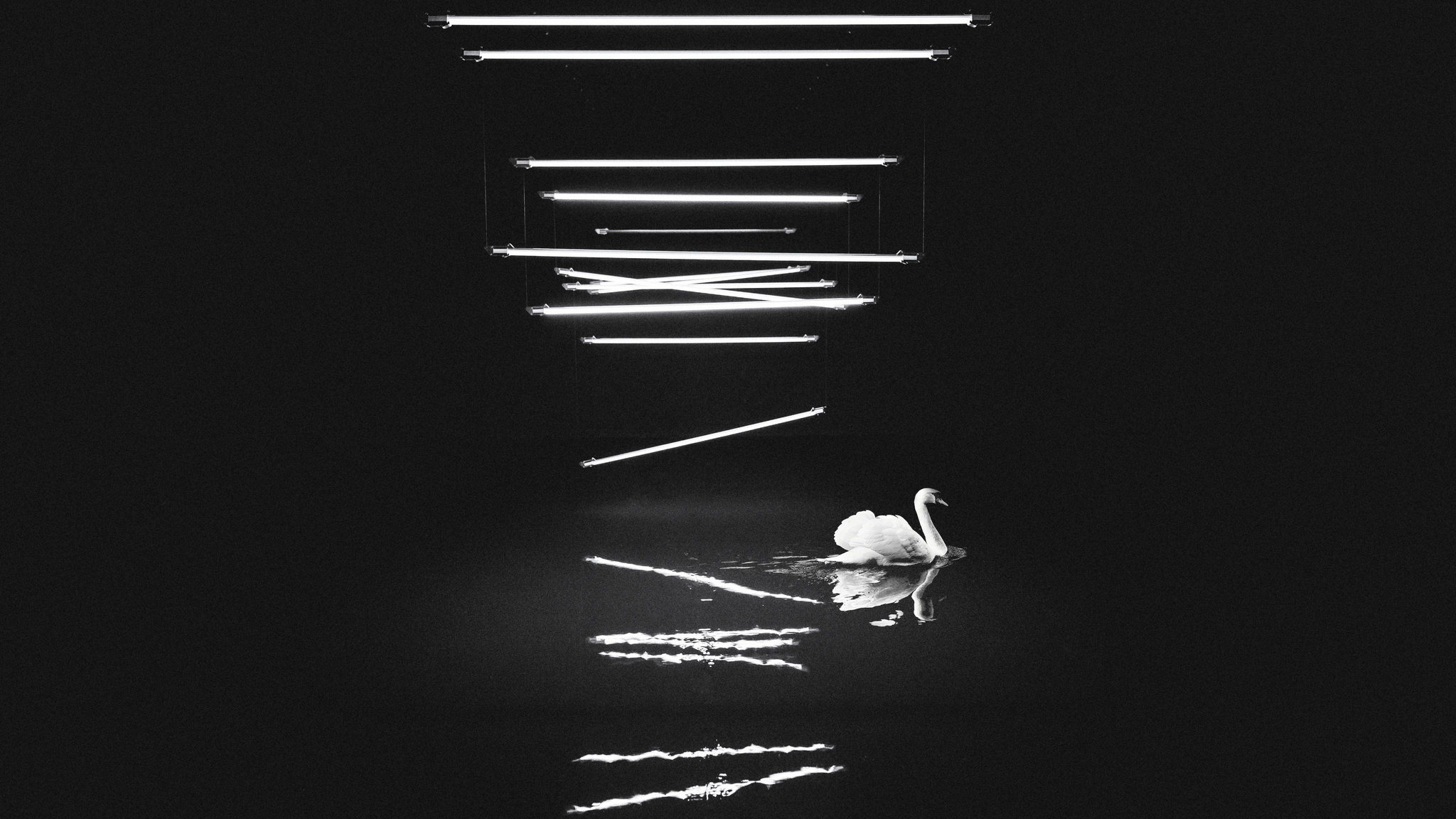 Let the Light In by Casey McCallister on 500px