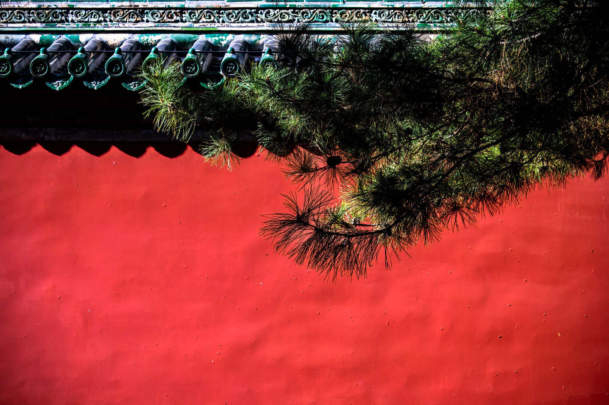 北京地坛公园的红墙绿树