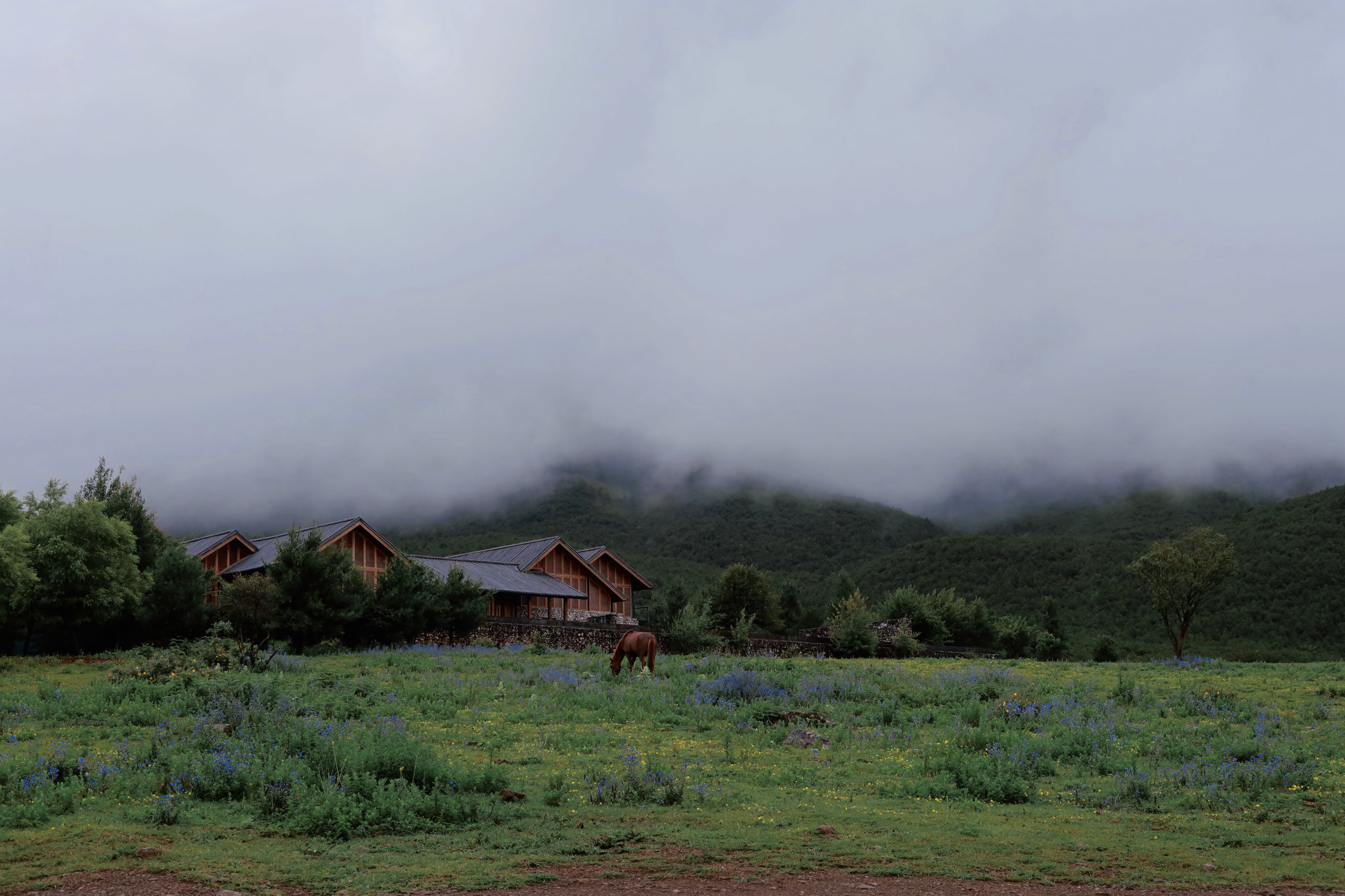 丽江雨后的景色
