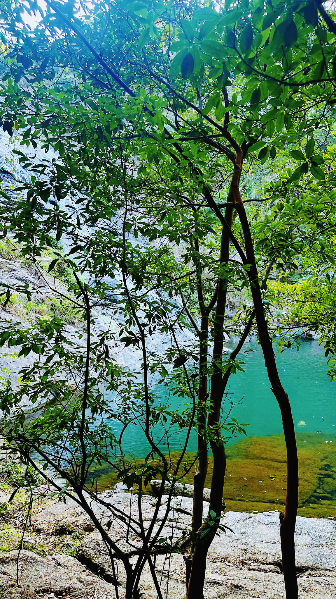 Let the Light In by Casey McCallister on 500px