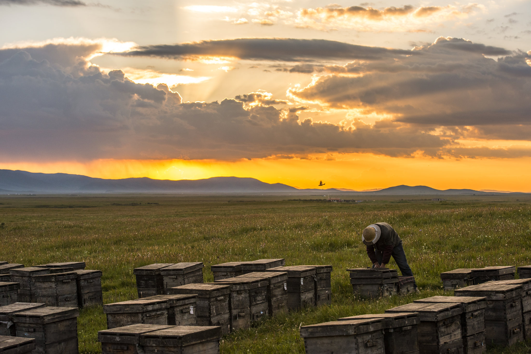 你守护共同的家园,身后有光芒万丈