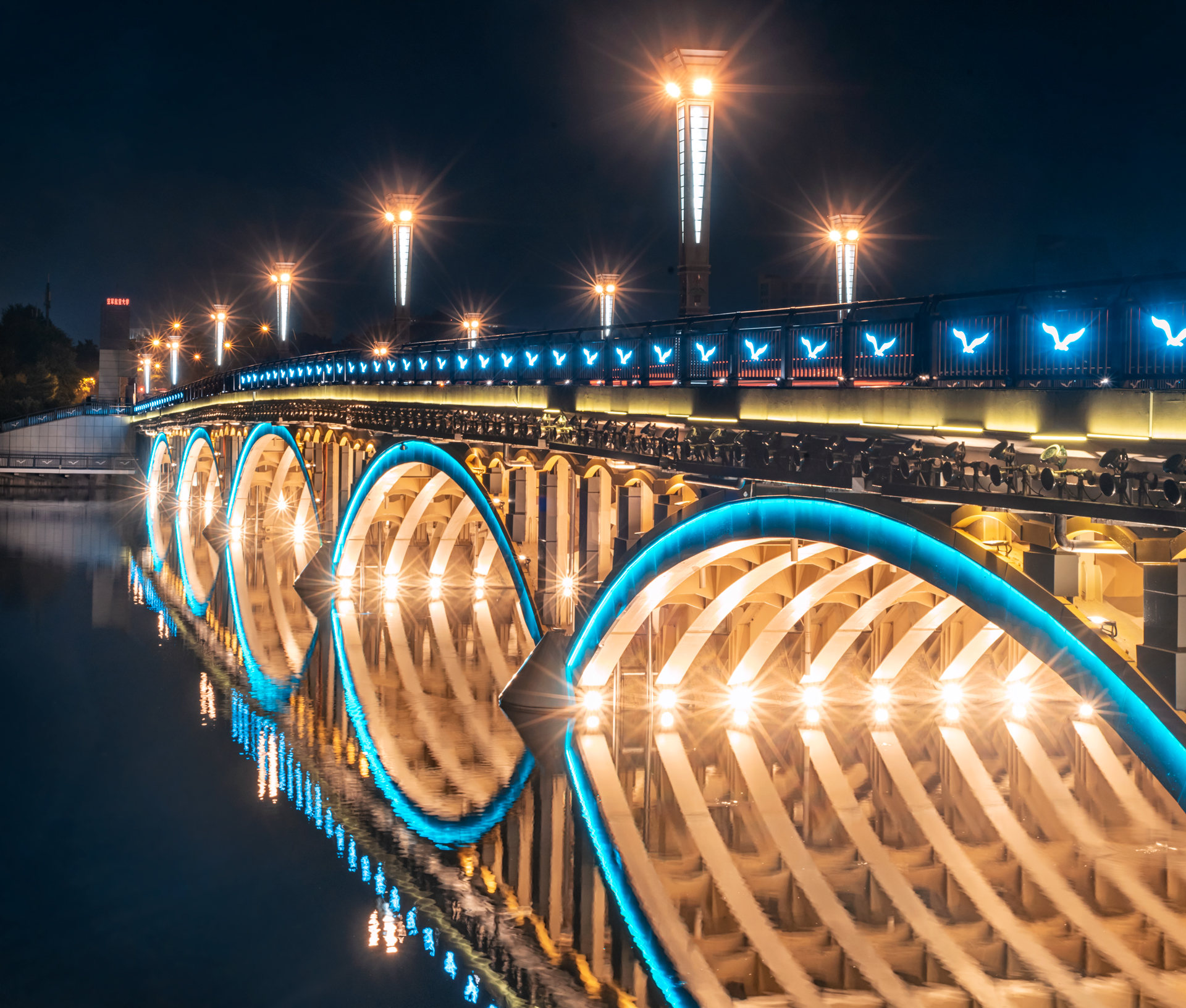 阳谷南湖大桥图片图片