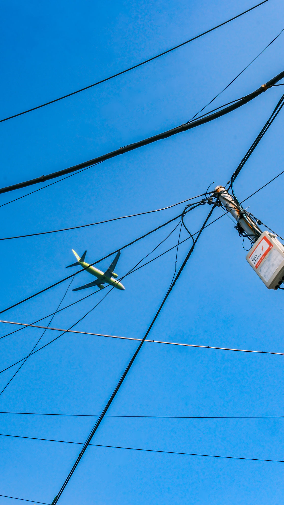 被电线困住的飞机