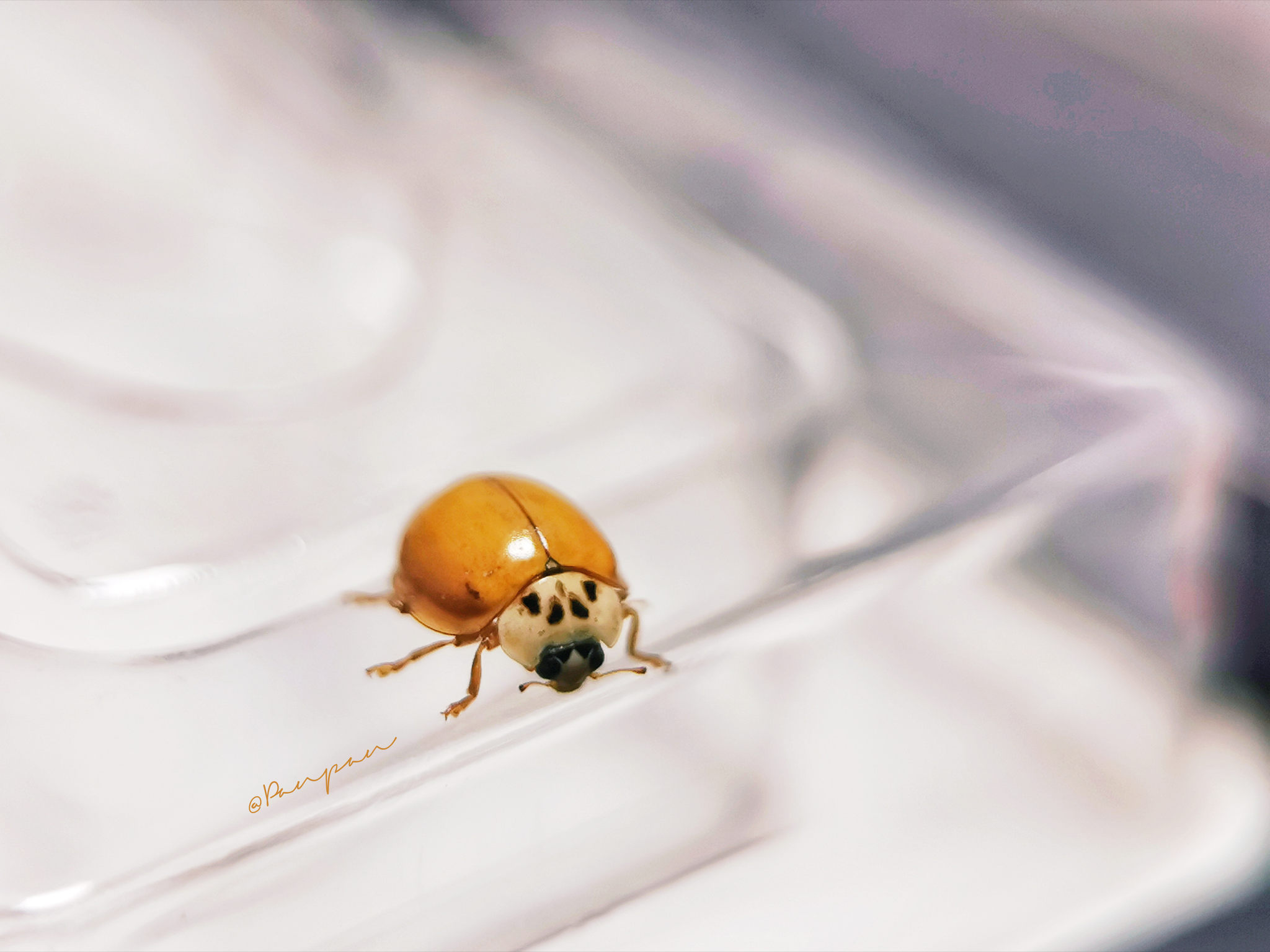 Let the Light In by Casey McCallister on 500px