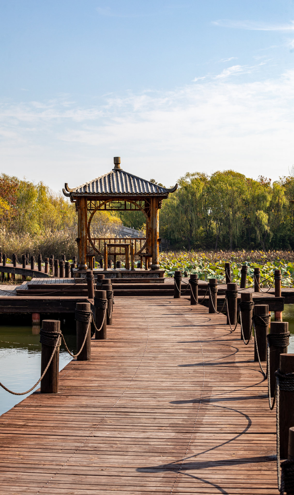 山东济宁太白湖湿地公园秋色自然景观与城市建筑倒影图