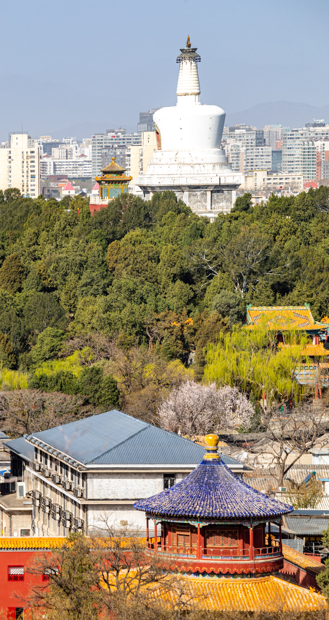 早春清晨北京景山公园看蓝天背景下的北京北海公园白塔建筑航拍视角