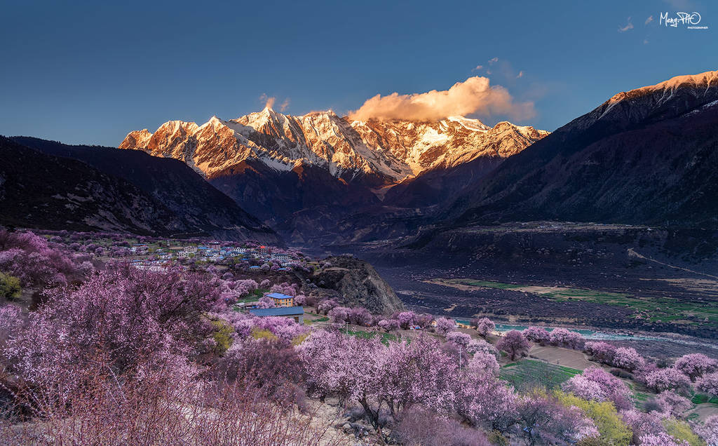 南迦巴瓦与桃花摄影照片