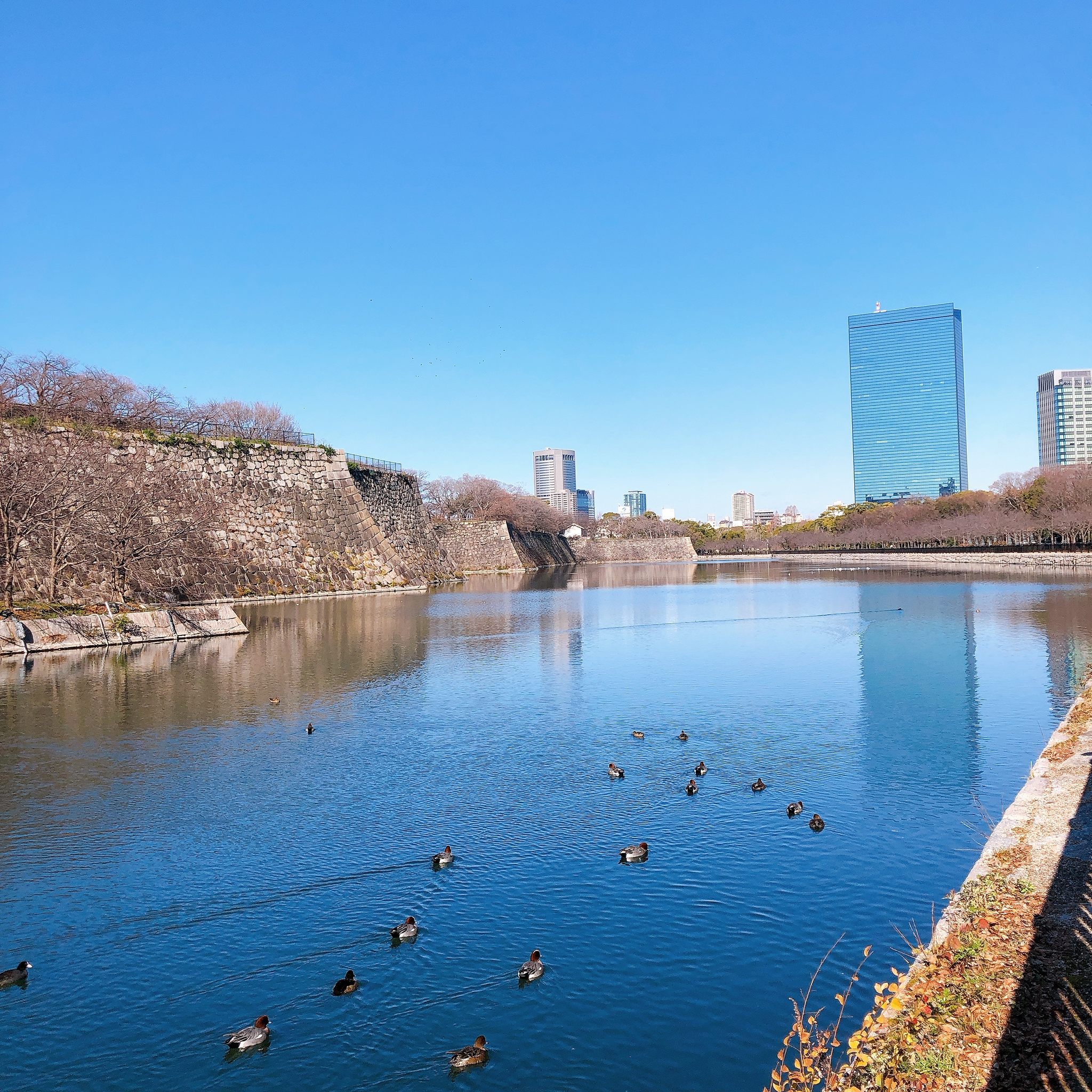 天气大阪今日情况
