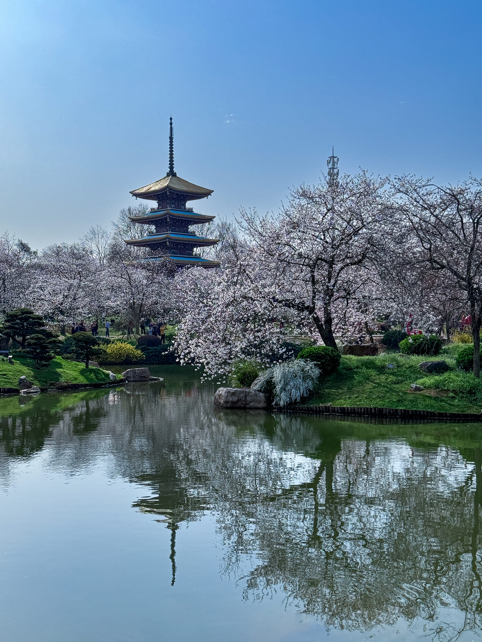 五重塔下樱花俏(拍摄于武汉东湖樱园五重塔)