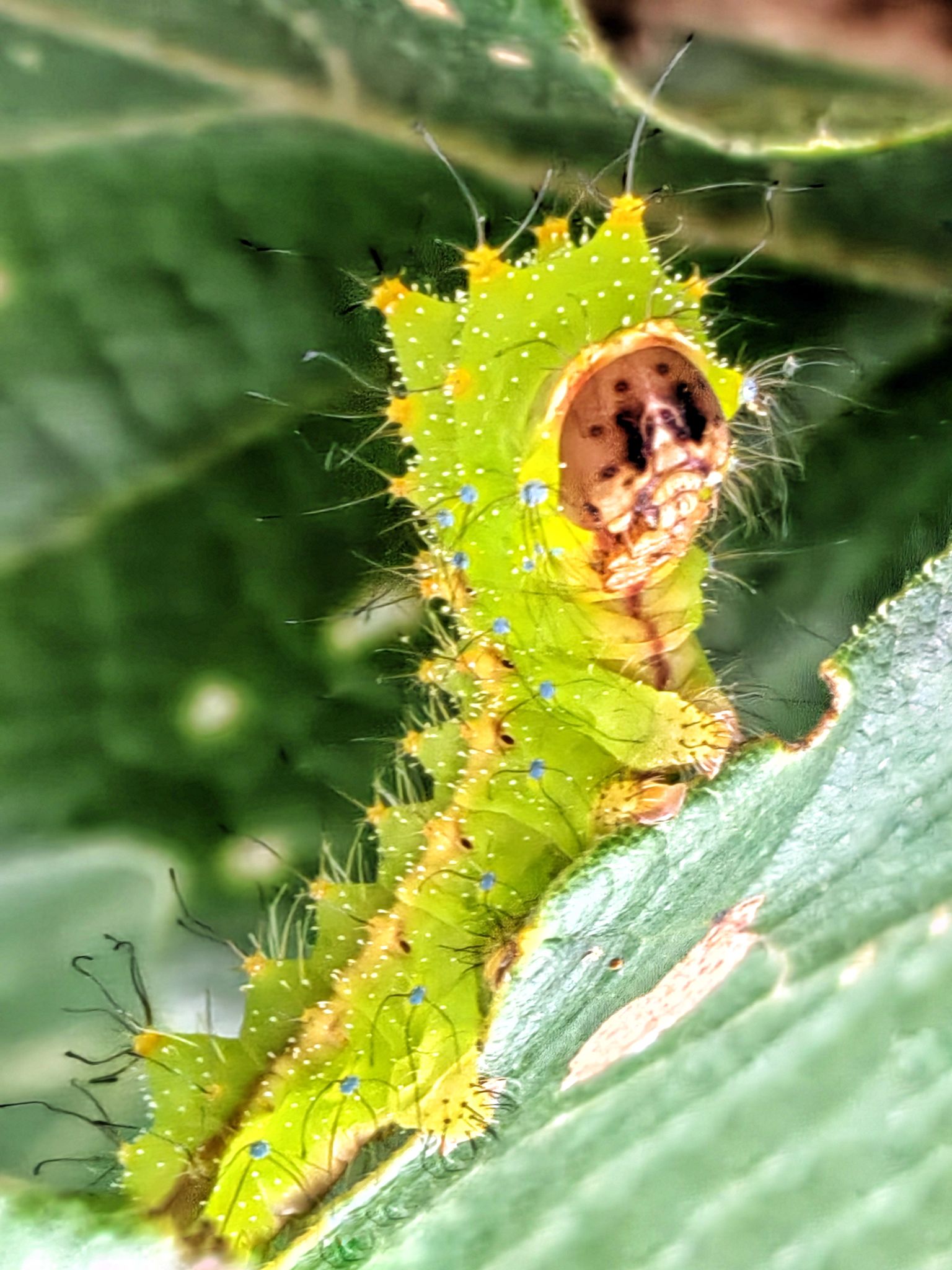 Let the Light In by Casey McCallister on 500px