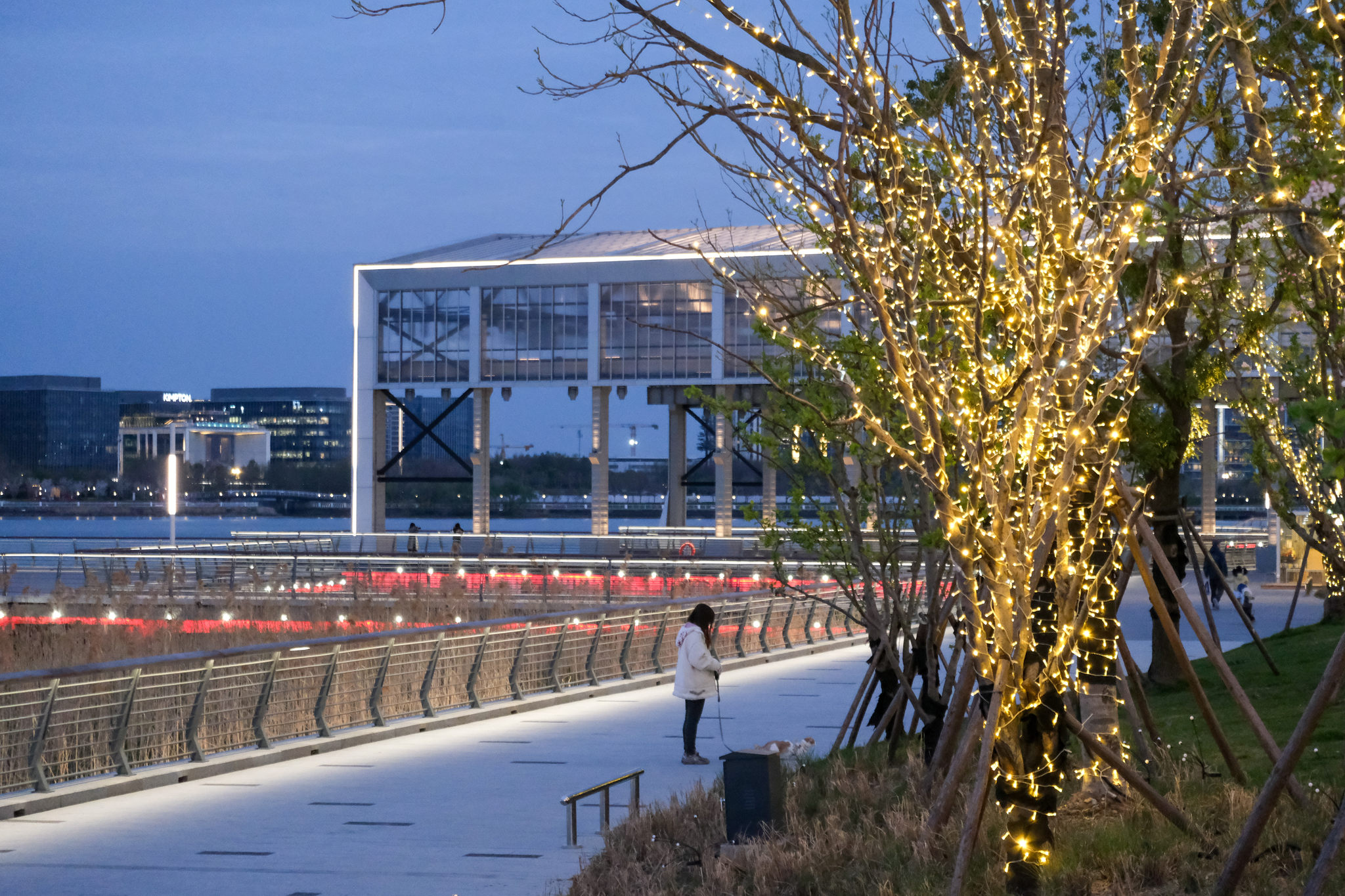 上海徐汇滨江 gate m 西岸梦工厂江边步道夜景