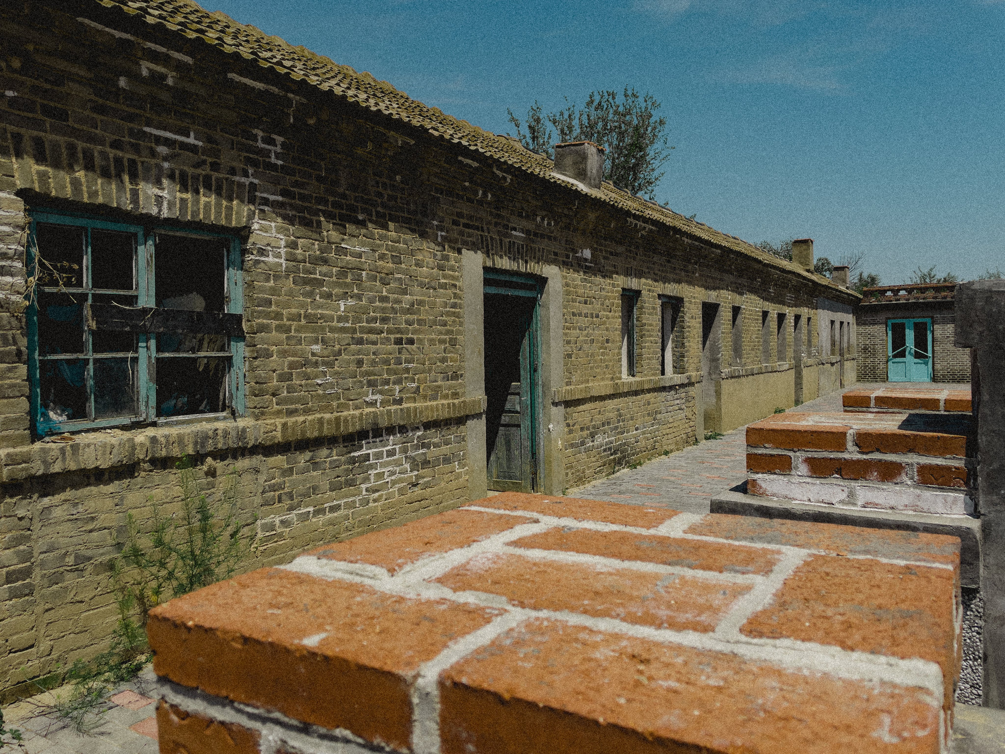 山东东营黄河口知青小镇