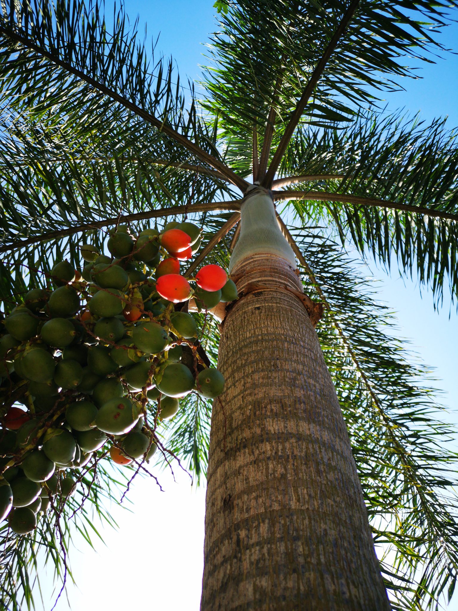 Let the Light In by Casey McCallister on 500px
