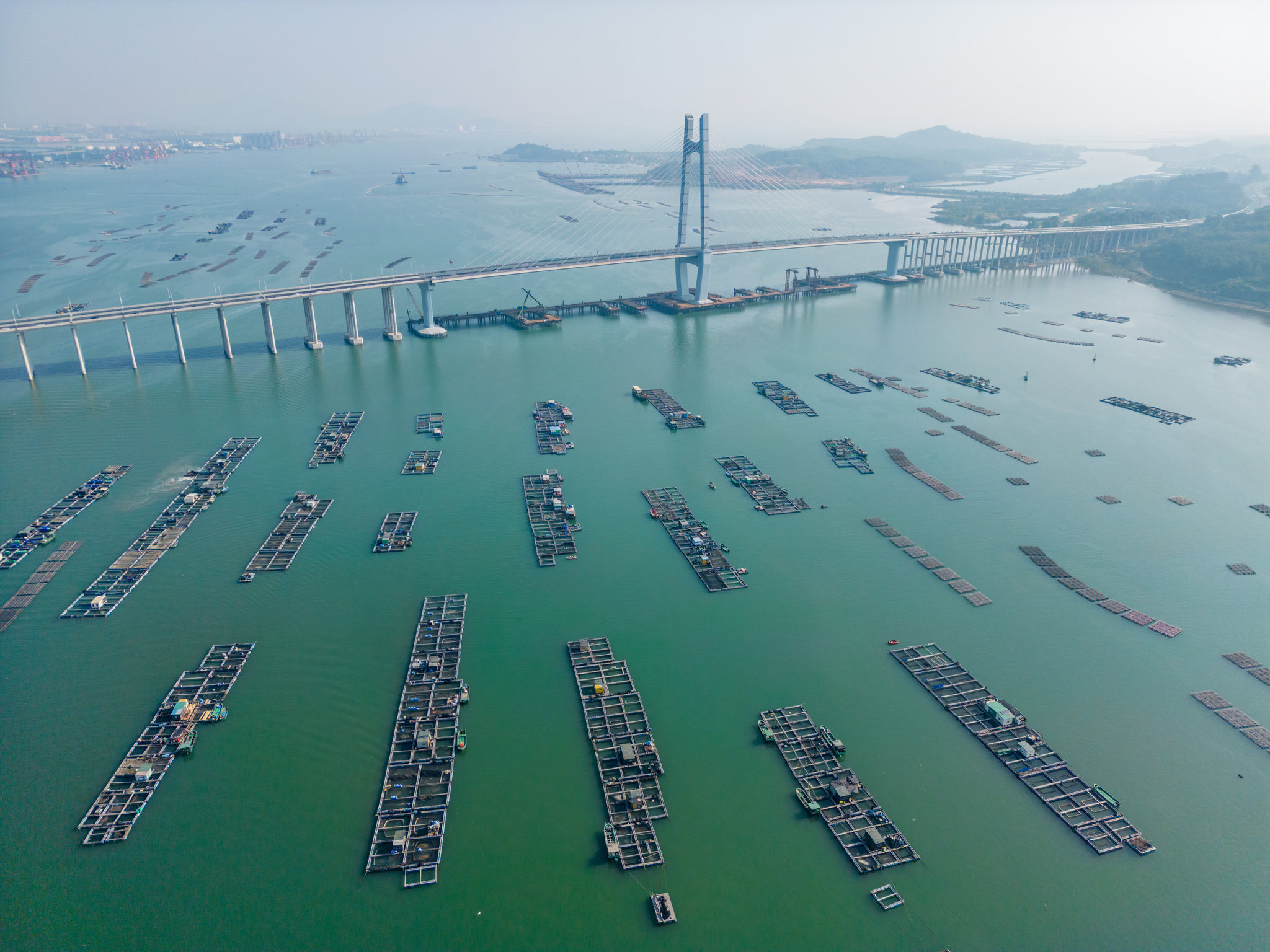 航拍阳江港跨海大桥,广东省滨海旅游公路阳江段