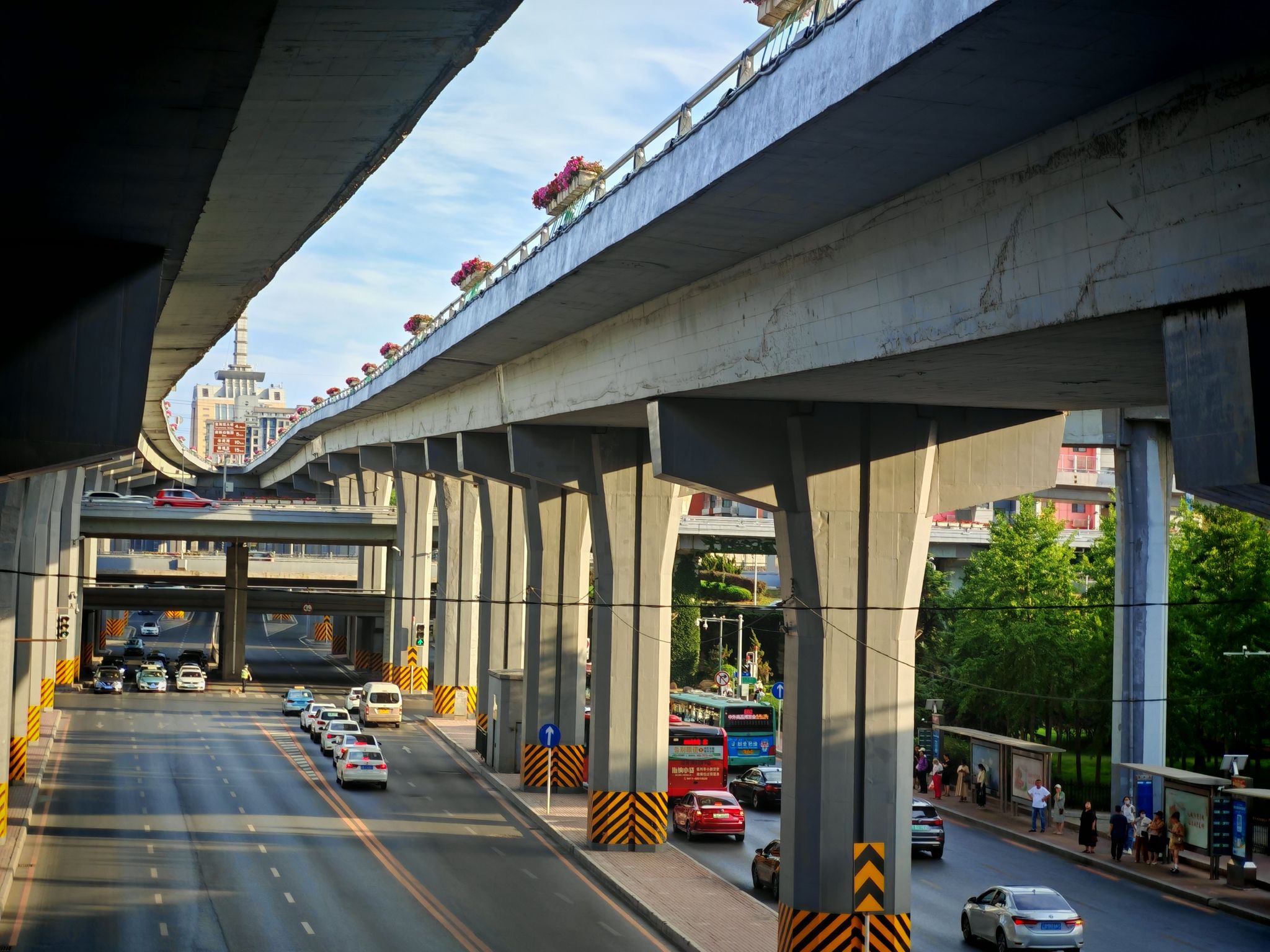 枣庄振兴北路立交桥图片