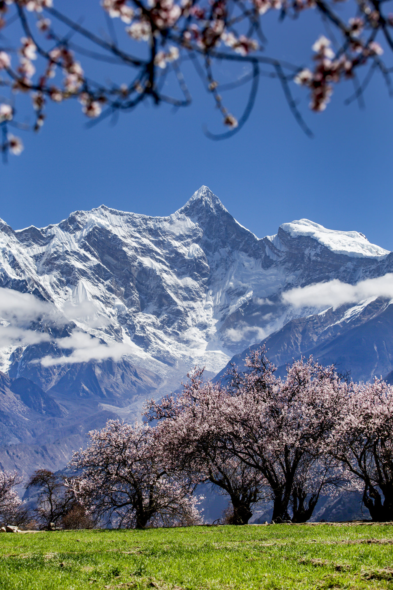 南迦巴瓦峰