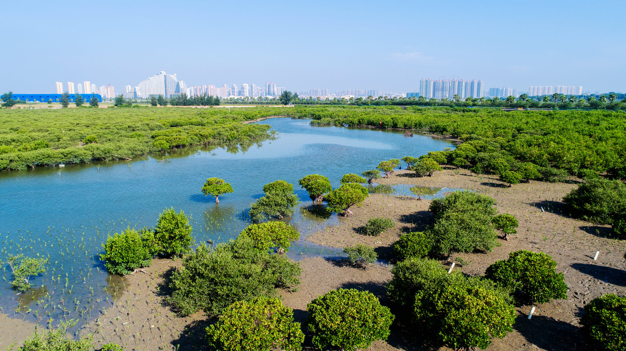 北海滨海湿地公园风光